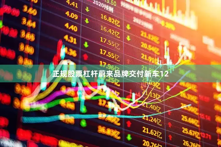 正规股票杠杆蔚来品牌交付新车12
