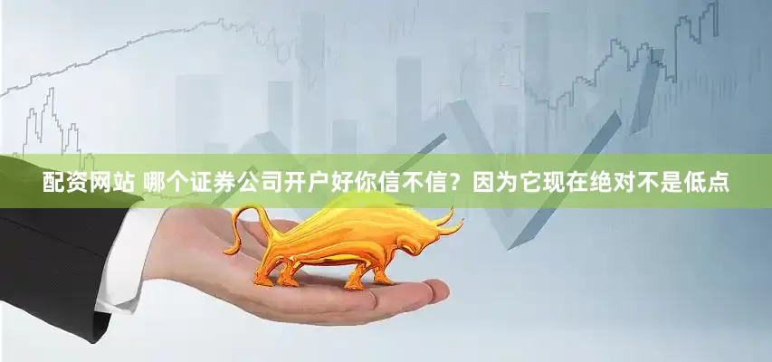配资网站 哪个证券公司开户好你信不信？因为它现在绝对不是低点